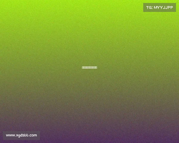 国内排球赛事最新排名